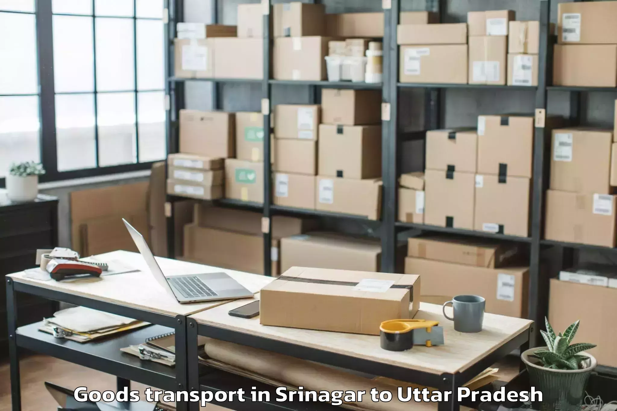 Hassle-Free Srinagar to Iimt University Meerut Goods Transport